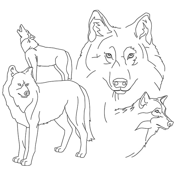Wolf sketch svg dxf cutting machine laser cutting designs craft genesis