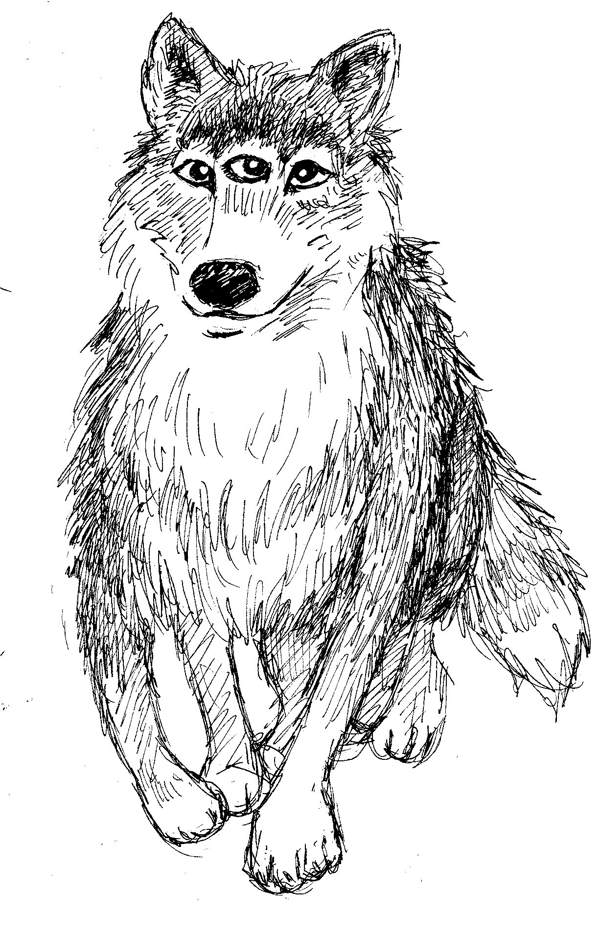 Lenticular bookmark wolf best of the drawing of the day week post with way too many numbers in its title a cartoonist in kekionga