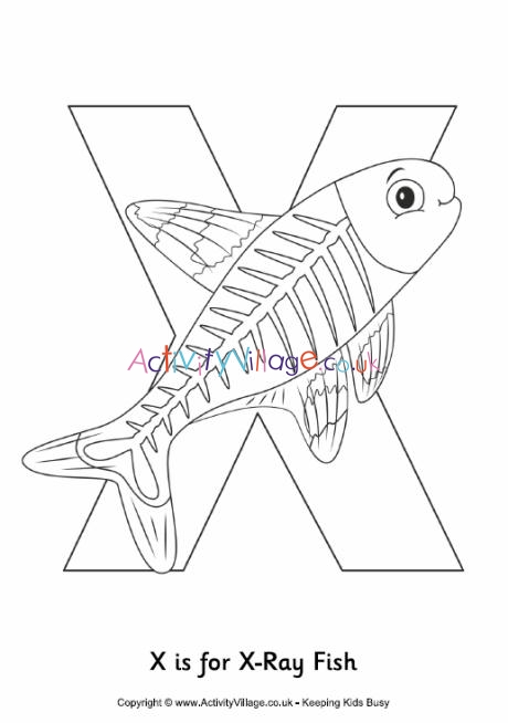X is for xray fish louring page