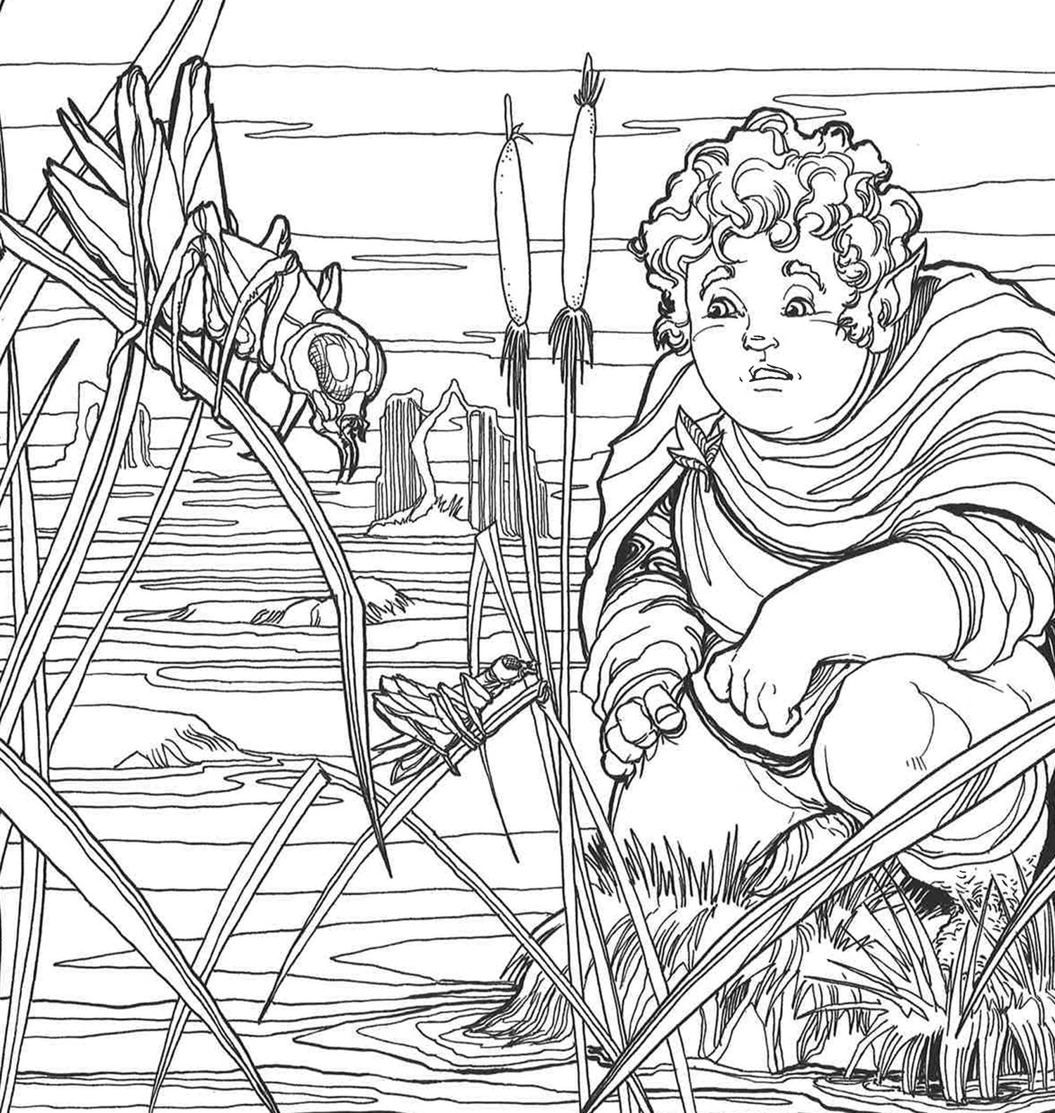 Beasts of tolkien a colouring book â