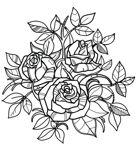 Roses coloring page free printable coloring pages