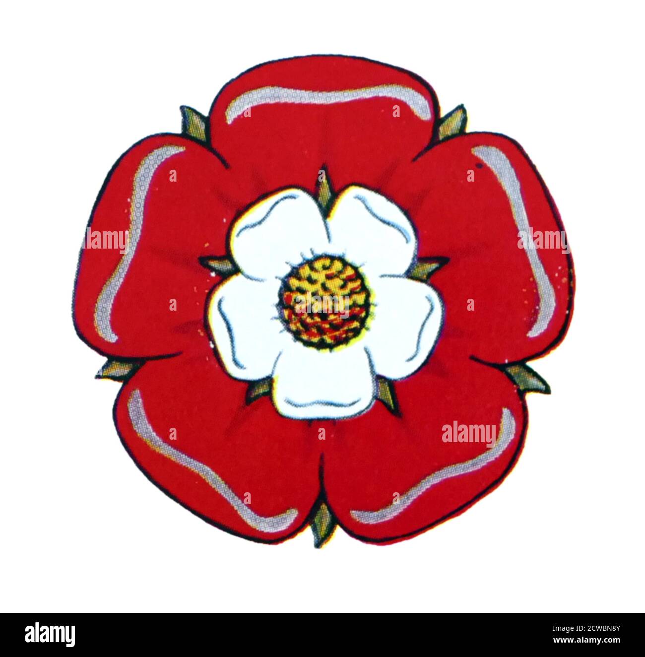 York and lancaster rose hi