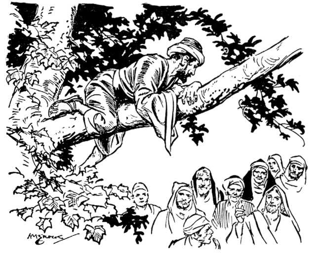 Color the bible zacchaeus the tax collector