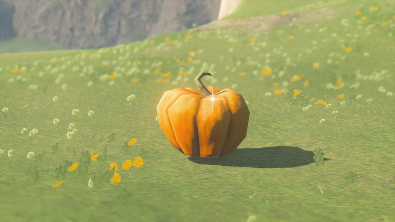 Fortified pumpkin