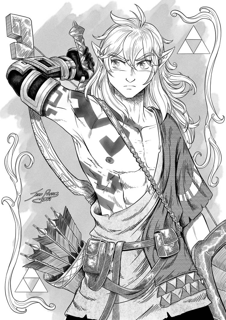 Link tears of the kingdom bnw by jero