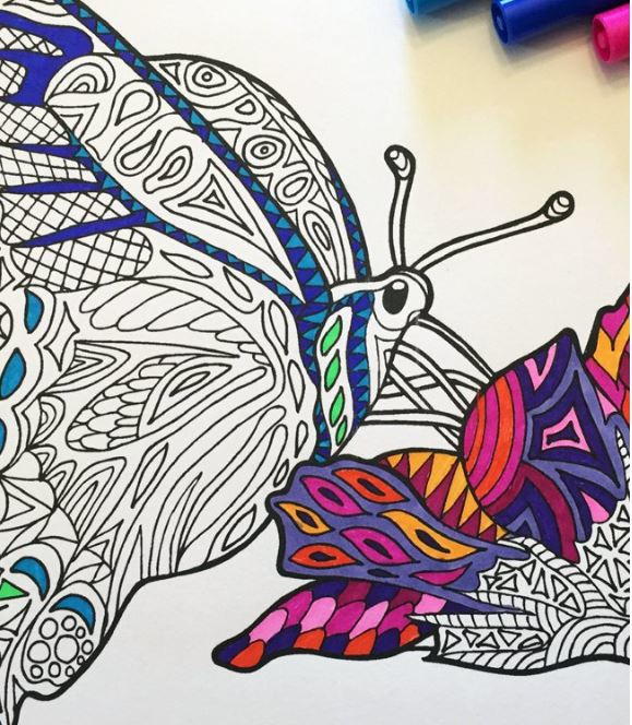 Butterfly on flower zentangle coloring page