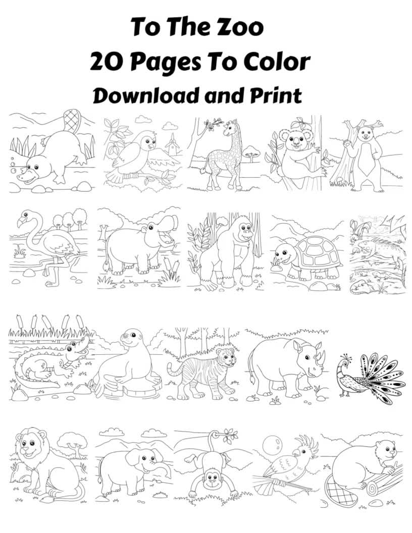 To the zoo coloring pageszoo animalszoo animals to colora trip to the zoo